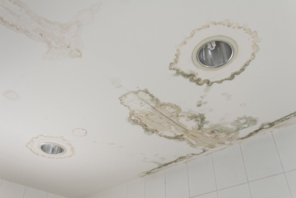 Ceiling with water stains, sings or water damage