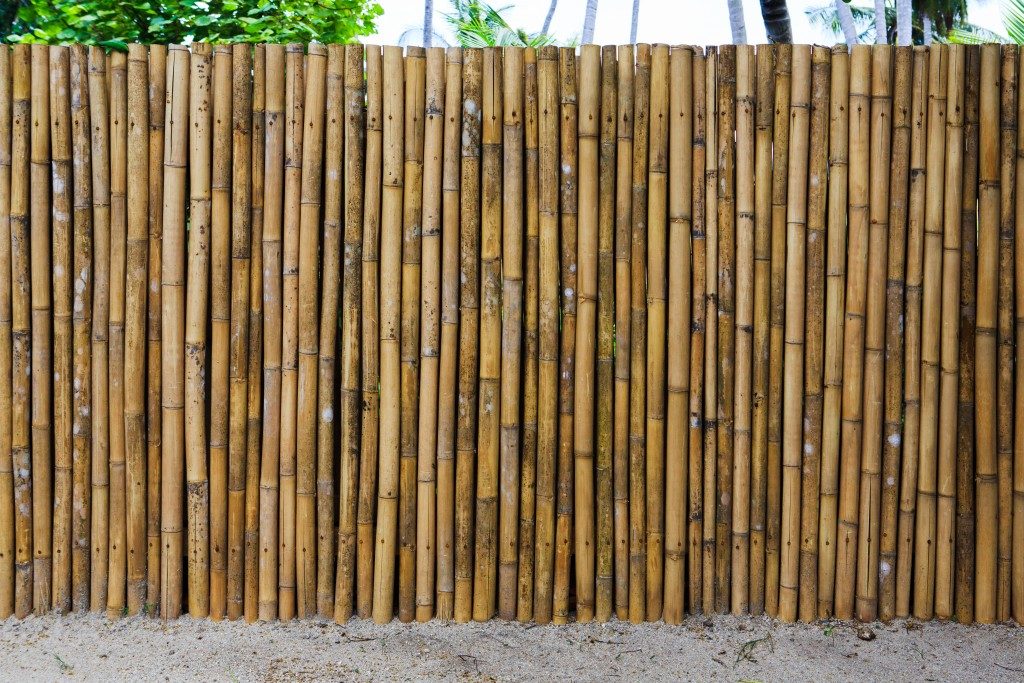 bamboo fence of a home