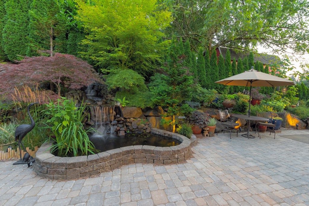 Outdoor Space with Hardscape