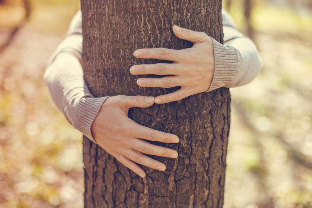 Person hugging the tree trunk