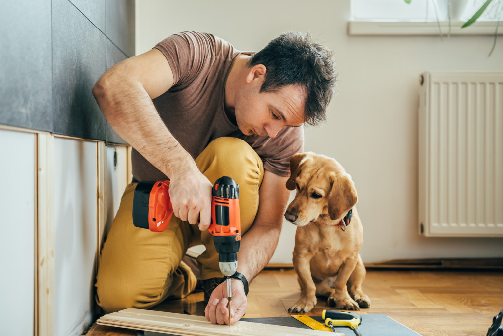 a home renovator with a dog