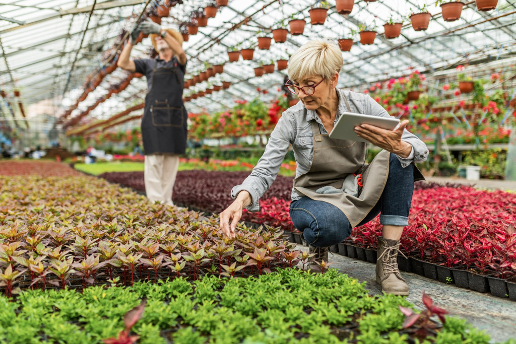 Senior gardener working in plant nursery and using digital tablet while examining flower
