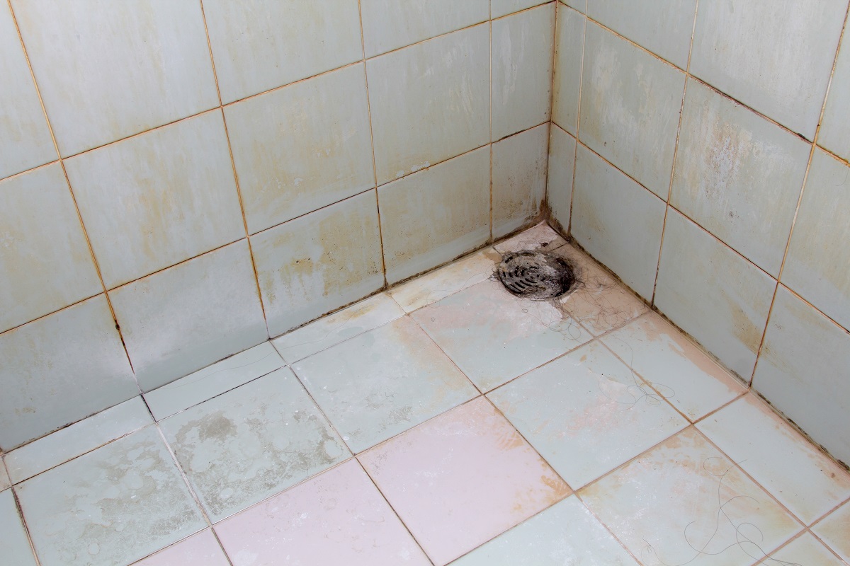 black mold growing on shower tiles in the bathroom