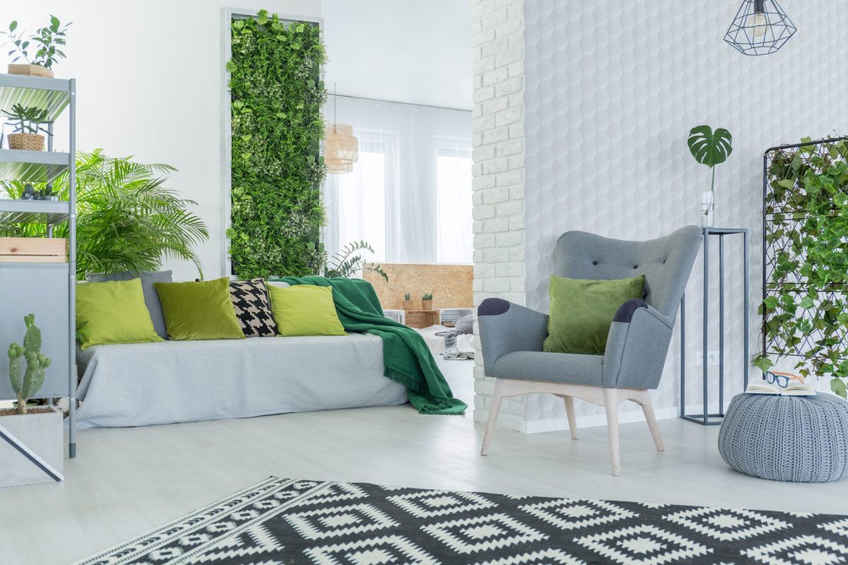 armchair, pouf and green plants