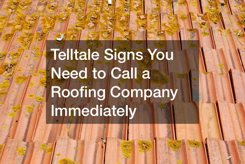 Telltale Signs You Need to Call a Roofing Company Immediately