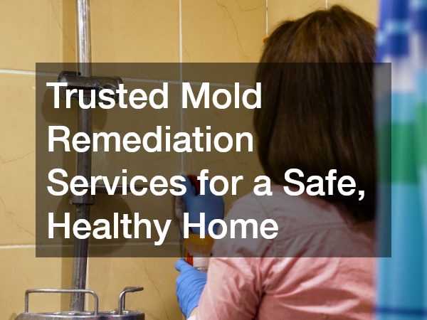 Trusted Mold Remediation Services for a Safe, Healthy Home