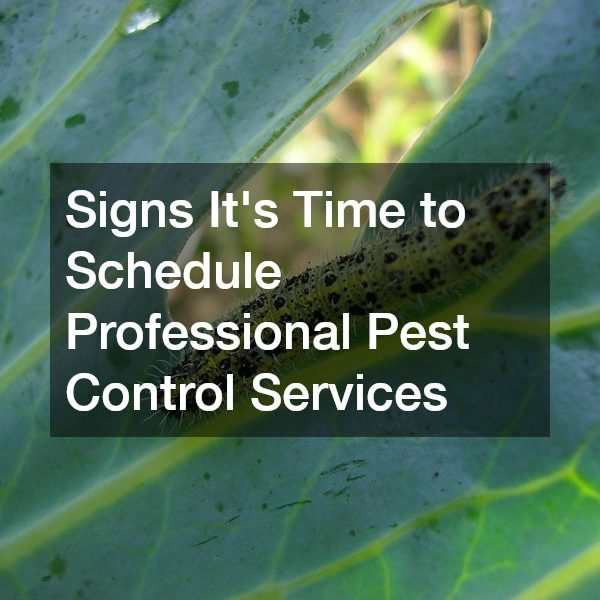 Signs Its Time to Schedule Professional Pest Control Services