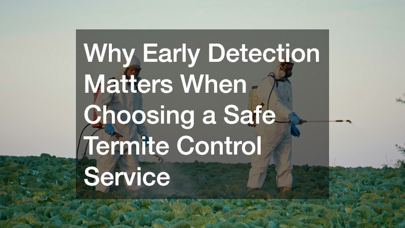 Why Early Detection Matters When Choosing a Safe Termite Control Service